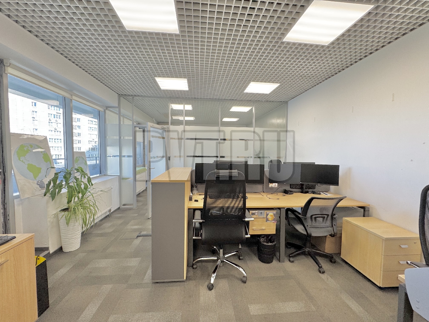 IMG_4115.jpeg
